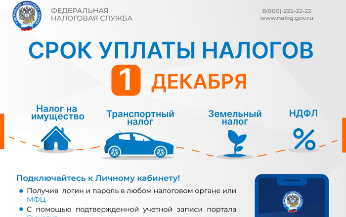 Картинка для новости